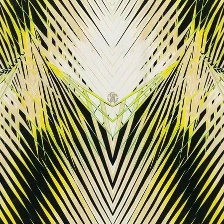 Roberto Cavalli Home 6 RC17002