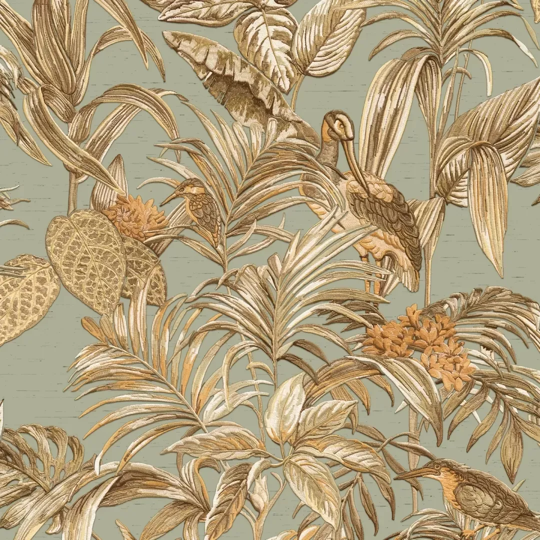 Decortex DE120017