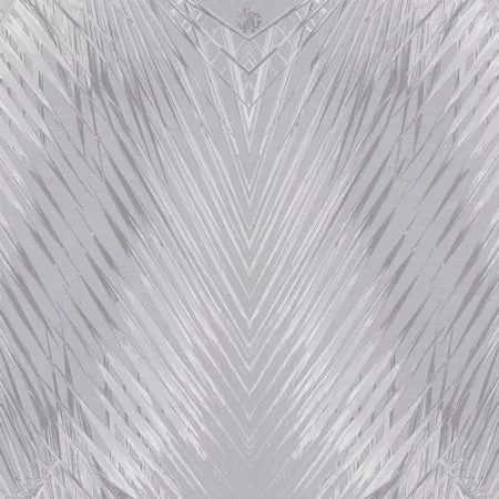 Roberto Cavalli Home 6 RC17007