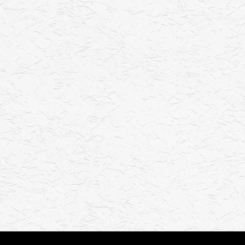 Blanc 953711