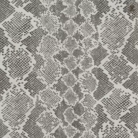 Roberto Cavalli Home 6 RC17099