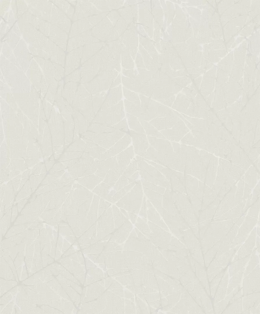 Linea 81881