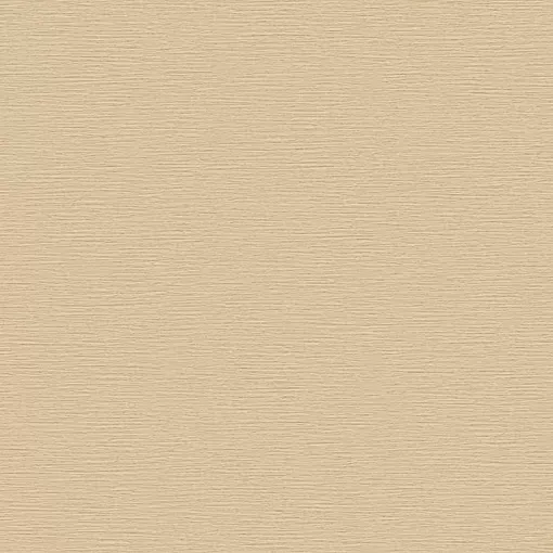BEAUX ARTS Vol.2 BA220075