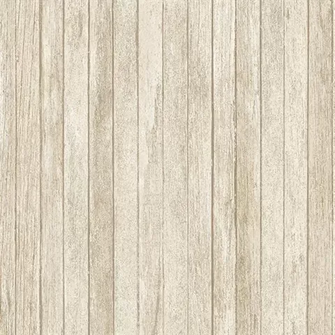 Illusions 2 LL36240