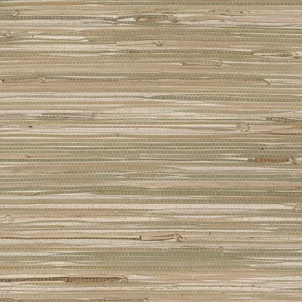 Decorator Grasscloth II 488-403