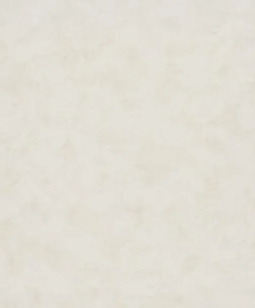 Neutral Walls 82427