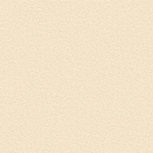 BEAUX ARTS Vol.2 BA220052