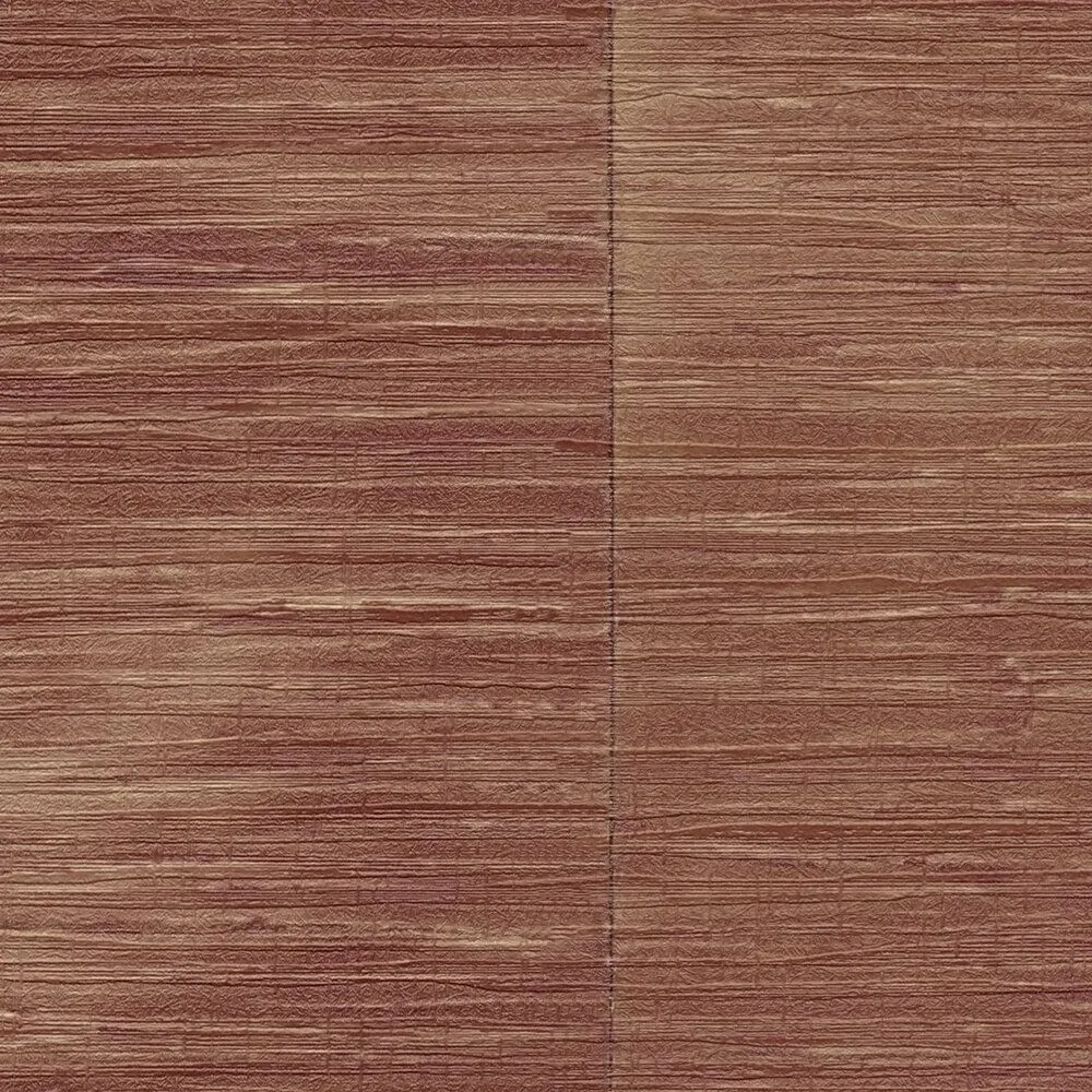 DANIELHECHTER7 78129-5