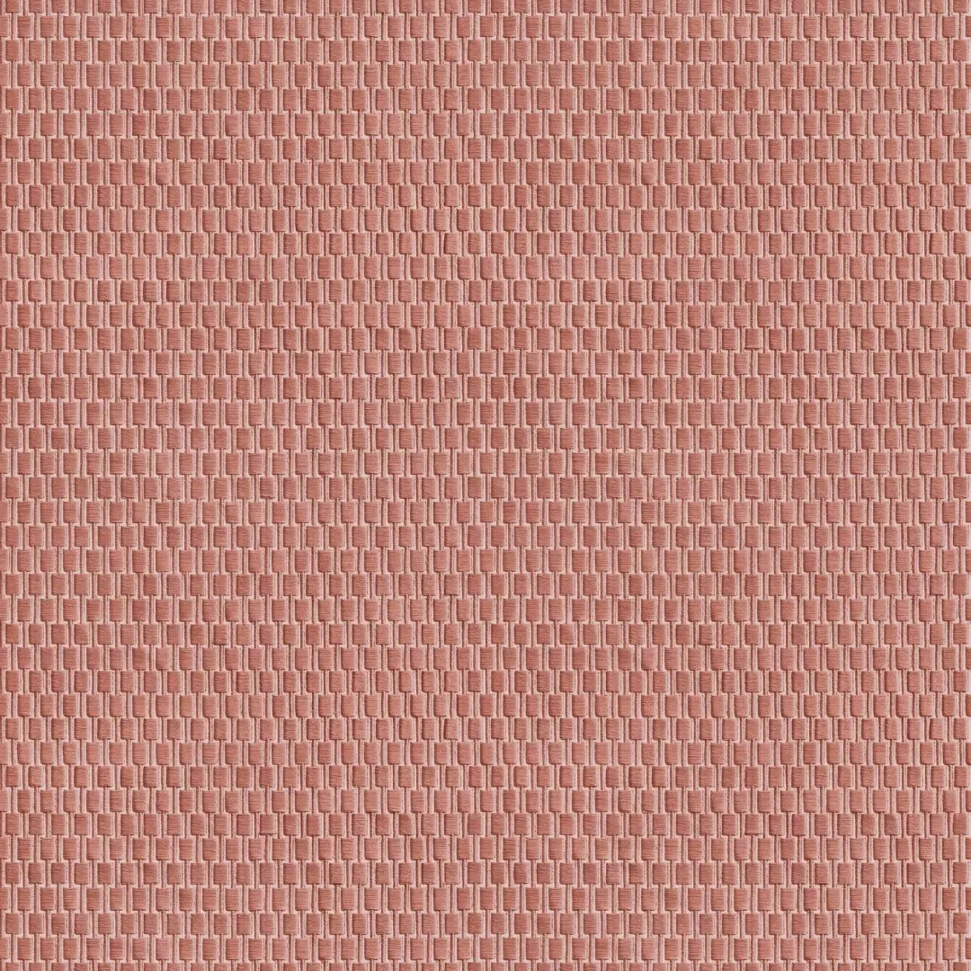 Decortex DE120037