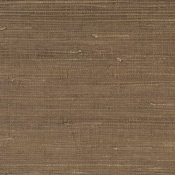 Decorator Grasscloth II 488-421