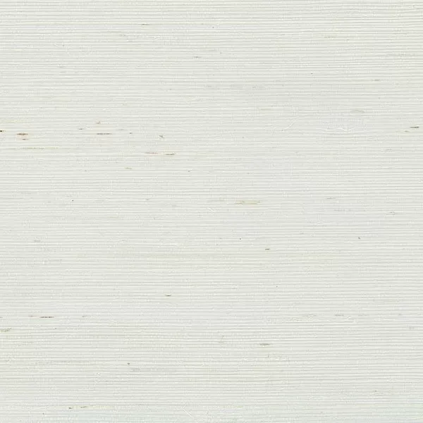Decorator Grasscloth II 488-411