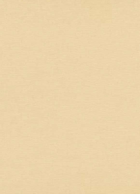 Casual Chic Wallpapers 10262-02