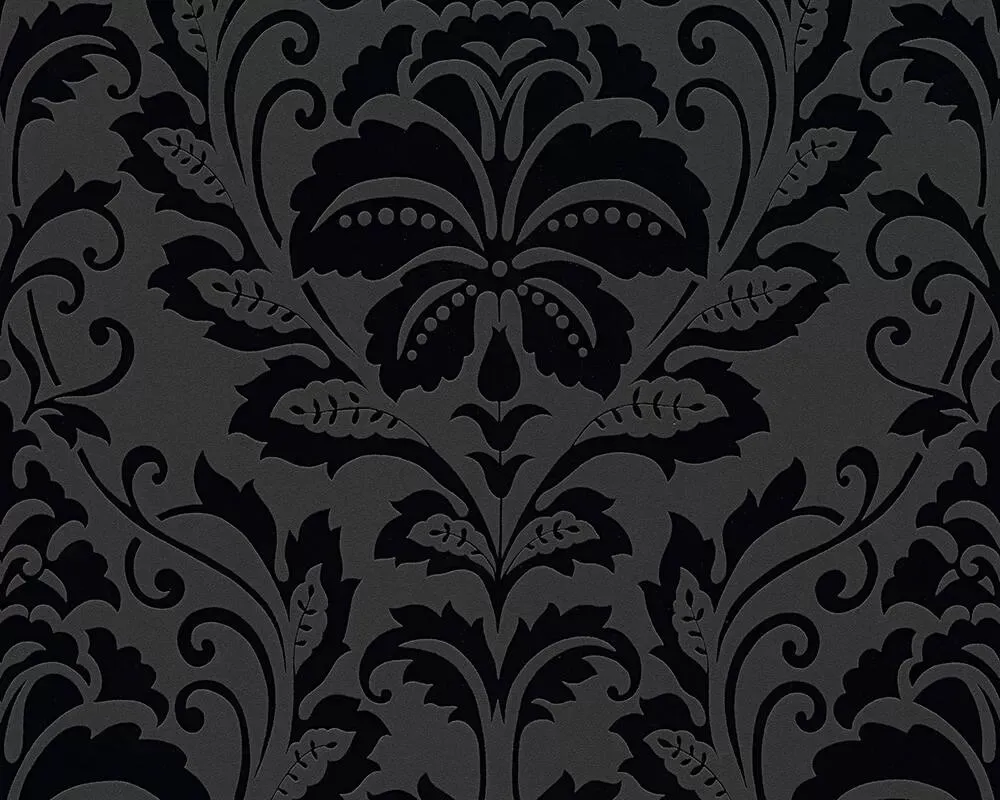 Black is Beautiful 2554-26