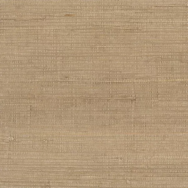 Decorator Grasscloth II 488-419