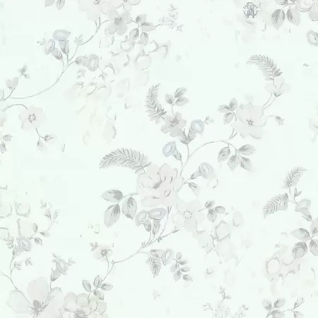 Roberto Cavalli Home 6 RC17019