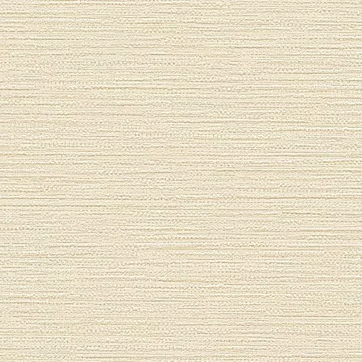 BEAUX ARTS Vol.2 BA220033