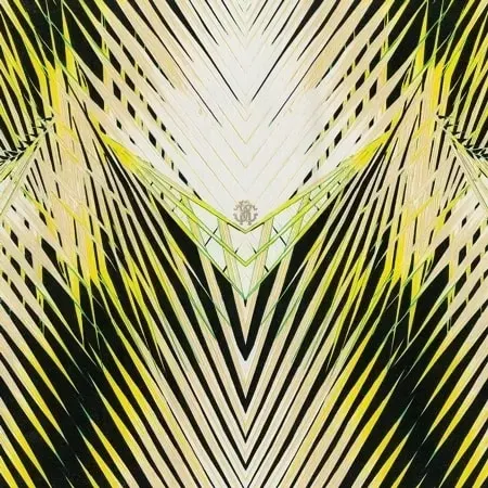 Roberto Cavalli Home 6 RC17002
