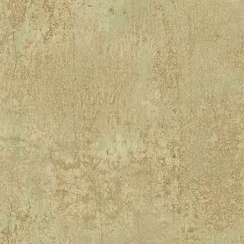 Illusions 2 LL36202