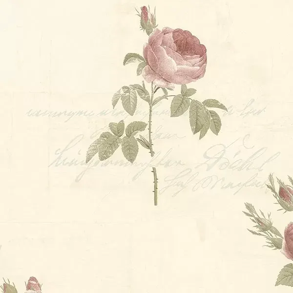 Rose Garden 2 CG28861