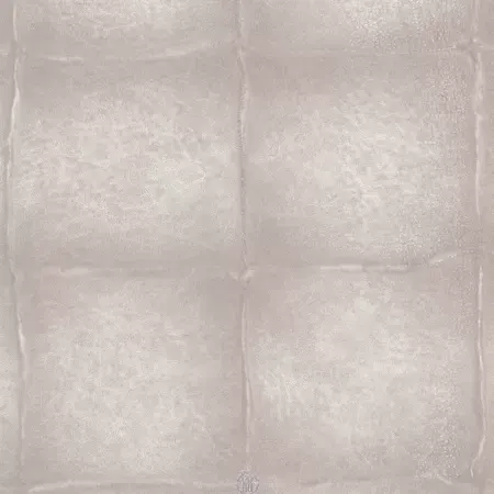 Roberto Cavalli Home 6 RC17031