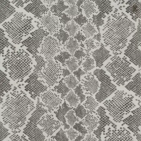 Roberto Cavalli Home 6 RC17099