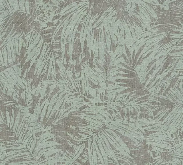 Borneo 32263-5