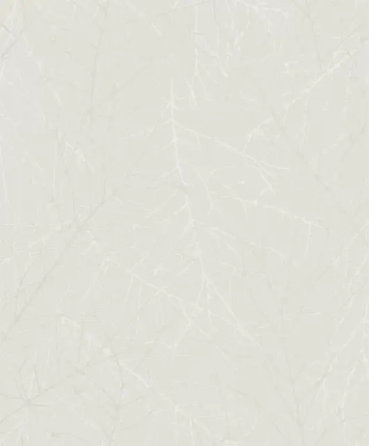 Linea 81881