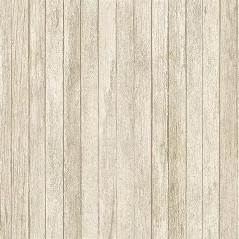 Illusions 2 LL36240