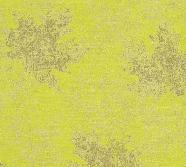 Borneo 32264-2