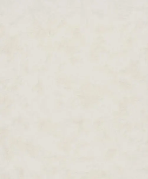 Neutral Walls 82427