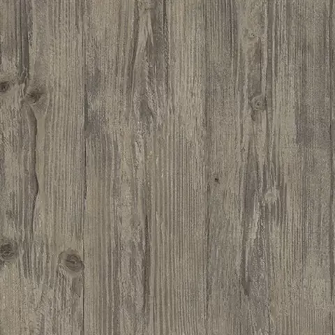 Illusions 2 LL36208