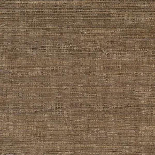 Decorator Grasscloth II 488-421