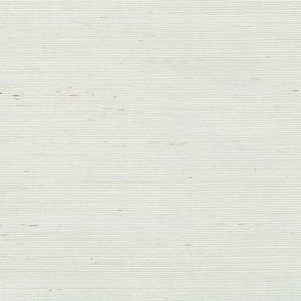 Decorator Grasscloth II 488-411