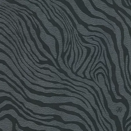 Roberto Cavalli Home 6 RC17070
