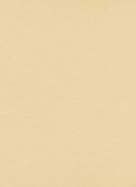 Casual Chic Wallpapers 10262-02