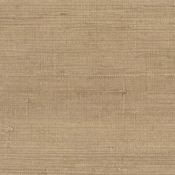 Decorator Grasscloth II 488-419